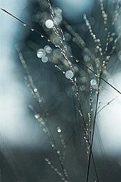 吉田暗示《最终幻想16》将来或有DLC